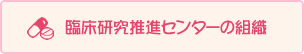 about_chiken09